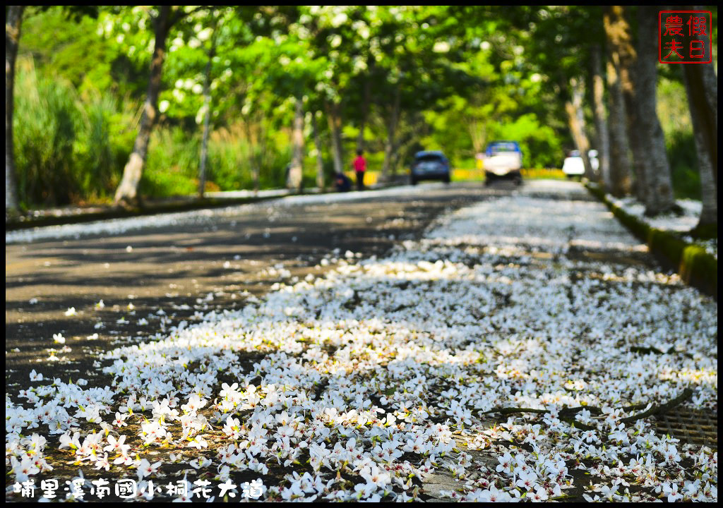 四季花曆賞花情報懶人包．梅花、櫻花、桐花、荷花、楓葉、落羽松/花季景點一覽表/跟著季節去賞花旅遊/賞花祕境 @假日農夫愛趴趴照