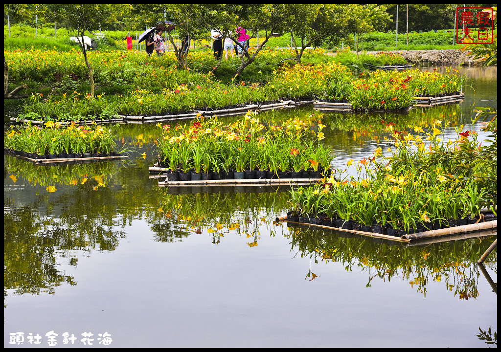 四季花曆賞花情報懶人包．梅花、櫻花、桐花、荷花、楓葉、落羽松/花季景點一覽表/跟著季節去賞花旅遊/賞花祕境 @假日農夫愛趴趴照