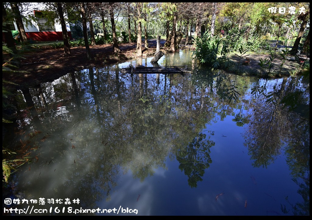 南投景點|國姓九佃落羽松森林．小而美私房秘境 @假日農夫愛趴趴照