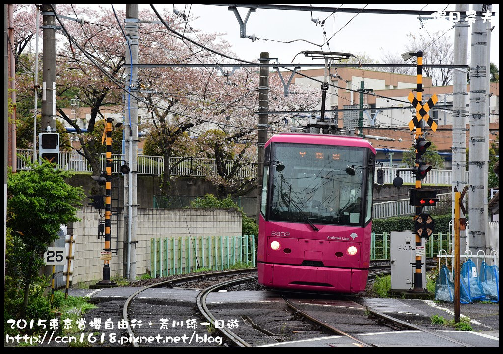 【日本旅遊】東京賞櫻自由行‧荒川線一日遊/都電荒川線一日券/季節對還能賞櫻 @假日農夫愛趴趴照