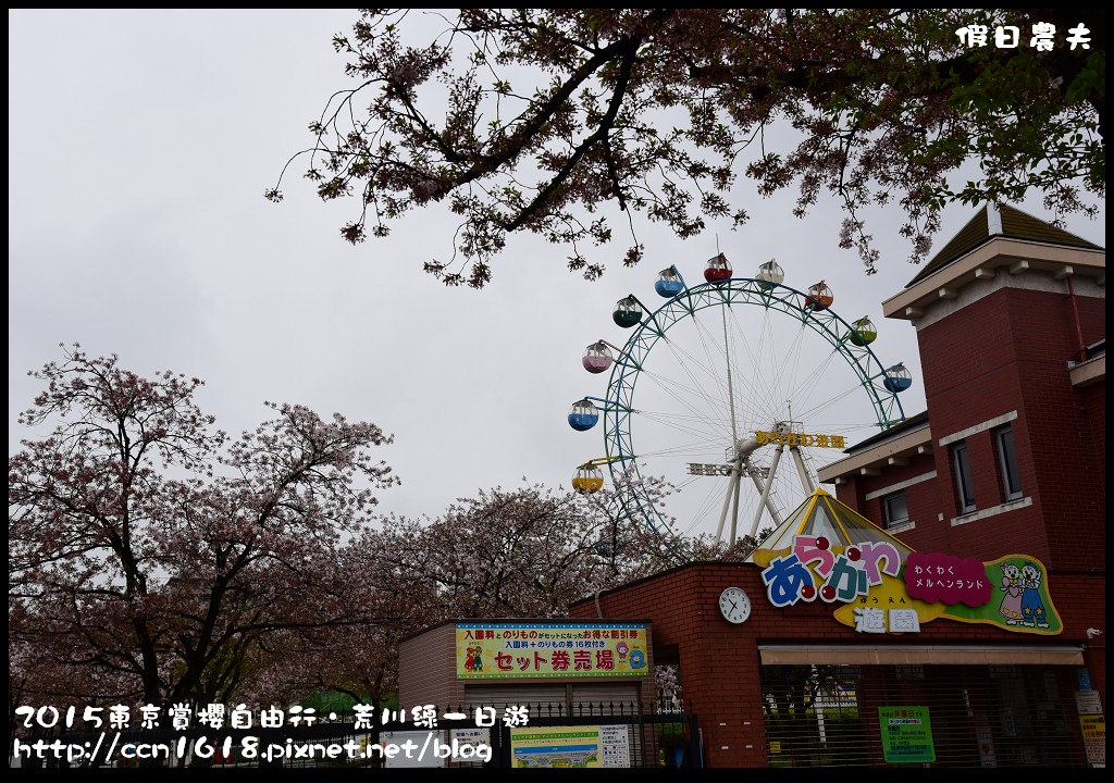 【日本旅遊】東京賞櫻自由行‧荒川線一日遊/都電荒川線一日券/季節對還能賞櫻 @假日農夫愛趴趴照