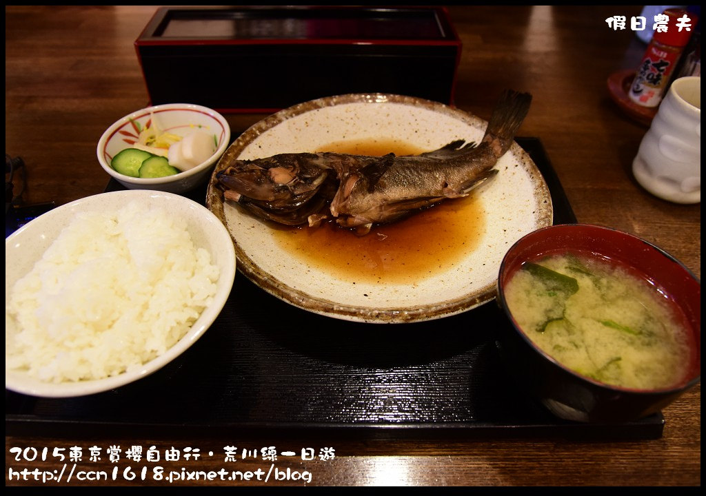 【日本旅遊】東京賞櫻自由行‧荒川線一日遊/都電荒川線一日券/季節對還能賞櫻 @假日農夫愛趴趴照