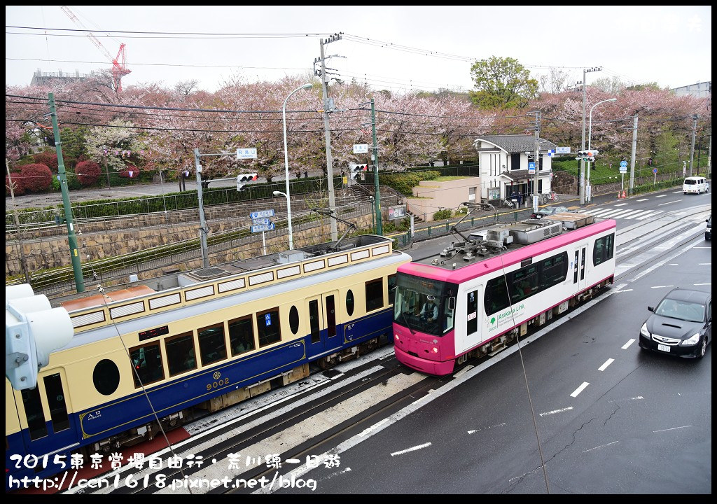 【日本旅遊】東京賞櫻自由行‧荒川線一日遊/都電荒川線一日券/季節對還能賞櫻 @假日農夫愛趴趴照