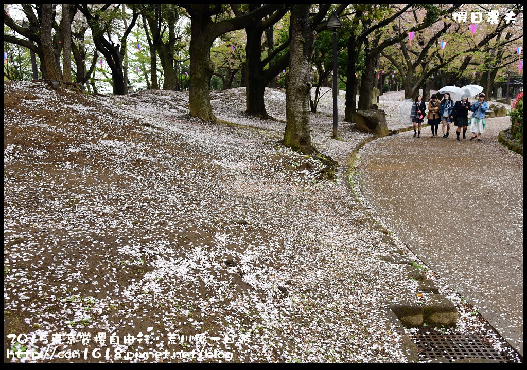 【日本旅遊】東京賞櫻自由行‧荒川線一日遊/都電荒川線一日券/季節對還能賞櫻 @假日農夫愛趴趴照