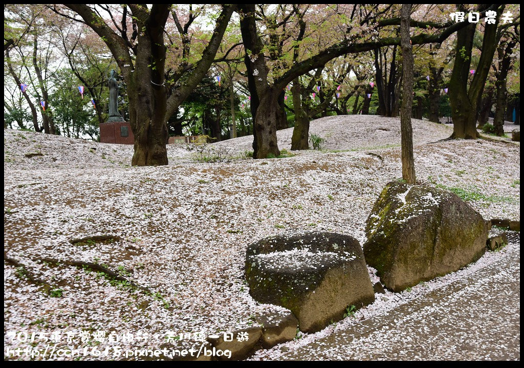 【日本旅遊】東京賞櫻自由行‧荒川線一日遊/都電荒川線一日券/季節對還能賞櫻 @假日農夫愛趴趴照