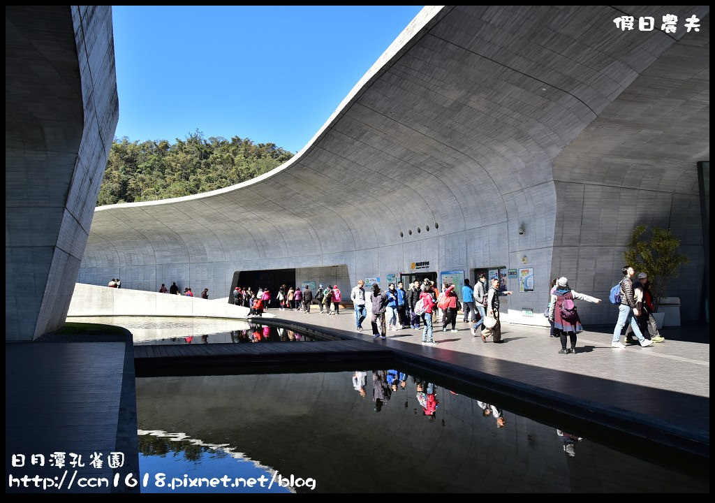 【南投旅遊】日月潭孔雀園．孔雀開屏好漂亮/免費參觀/一日遊/親子遊 @假日農夫愛趴趴照