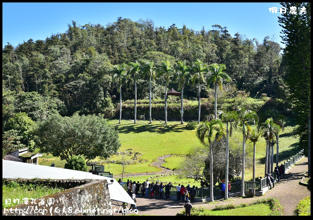 【南投旅遊】日月潭孔雀園．孔雀開屏好漂亮/免費參觀/一日遊/親子遊 @假日農夫愛趴趴照