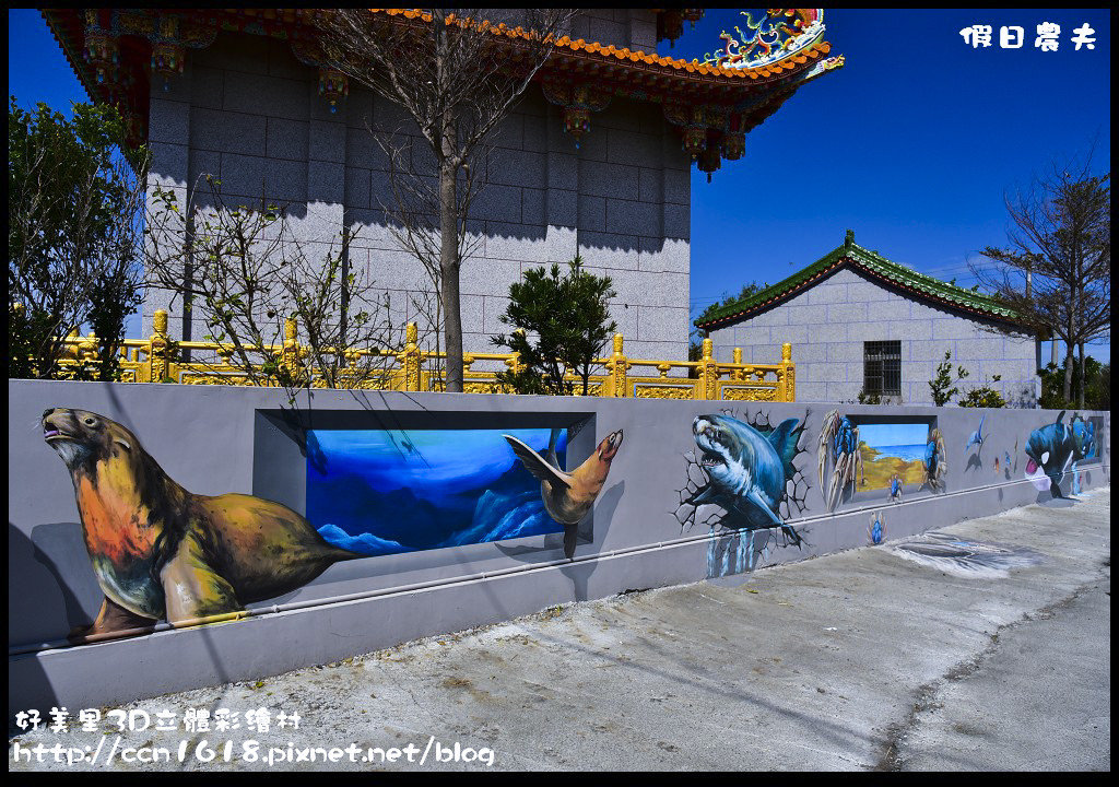 嘉義旅遊|好美里彩繪村．全台最大3D立體彩繪圖/海底世界、抹香鯨大戰大王烏賊、美人魚、食人魚、白雪公主與七矮人/免費景點/免門票 @假日農夫愛趴趴照