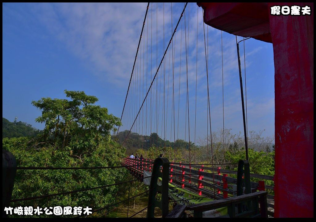 嘉義景點|竹崎親水公園風鈴木．如繡球花般的粉紅雲盛開時比櫻花更迷人/免門票 @假日農夫愛趴趴照