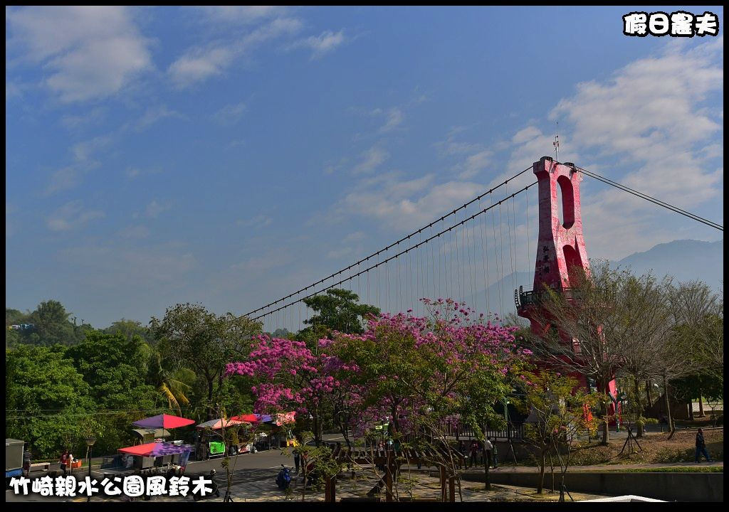 嘉義景點|竹崎親水公園風鈴木．如繡球花般的粉紅雲盛開時比櫻花更迷人/免門票 @假日農夫愛趴趴照