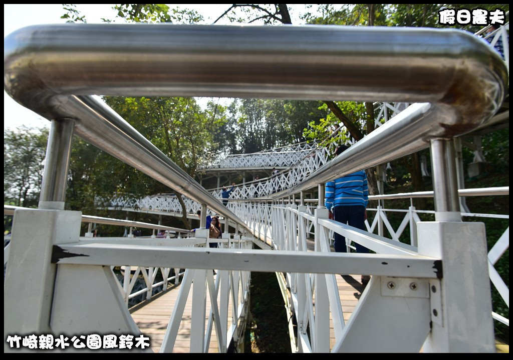 嘉義景點|竹崎親水公園風鈴木．如繡球花般的粉紅雲盛開時比櫻花更迷人/免門票 @假日農夫愛趴趴照