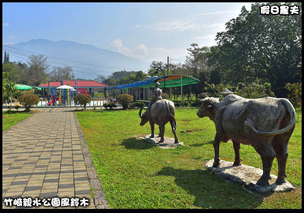 嘉義景點|竹崎親水公園風鈴木．如繡球花般的粉紅雲盛開時比櫻花更迷人/免門票 @假日農夫愛趴趴照