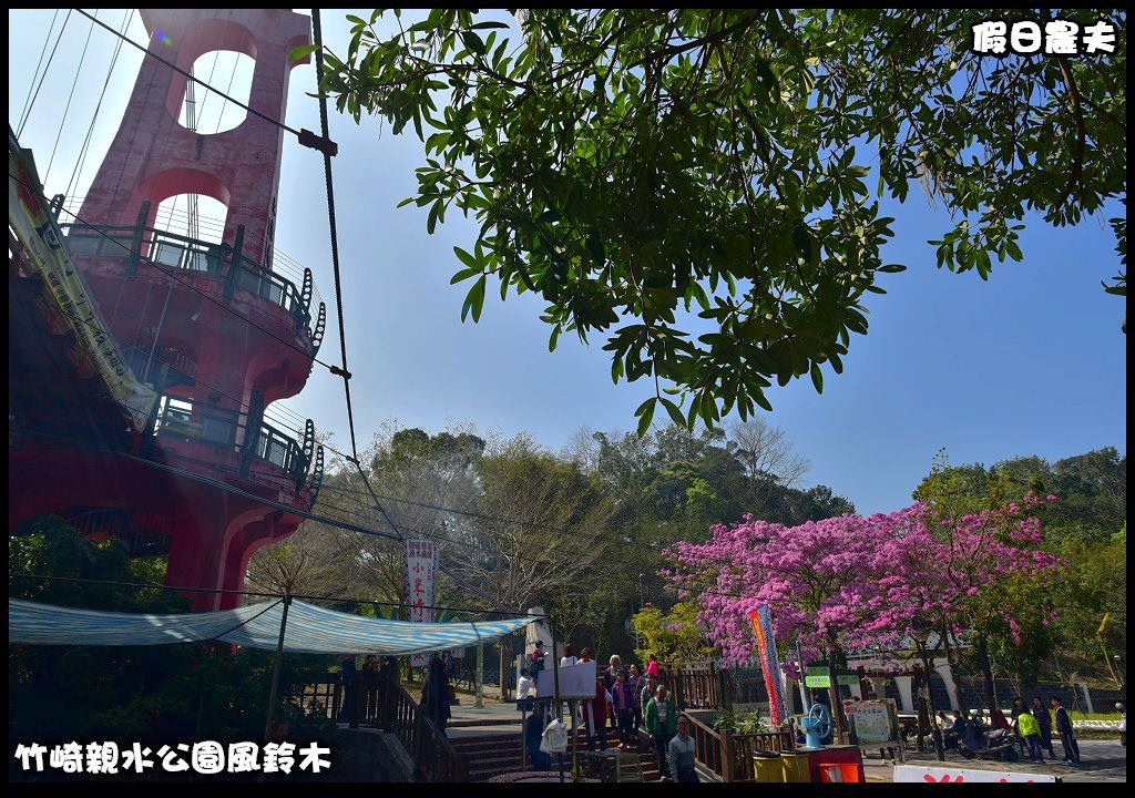 嘉義景點|竹崎親水公園風鈴木．如繡球花般的粉紅雲盛開時比櫻花更迷人/免門票 @假日農夫愛趴趴照