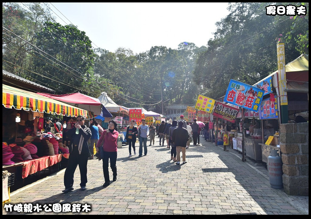 嘉義景點|竹崎親水公園風鈴木．如繡球花般的粉紅雲盛開時比櫻花更迷人/免門票 @假日農夫愛趴趴照