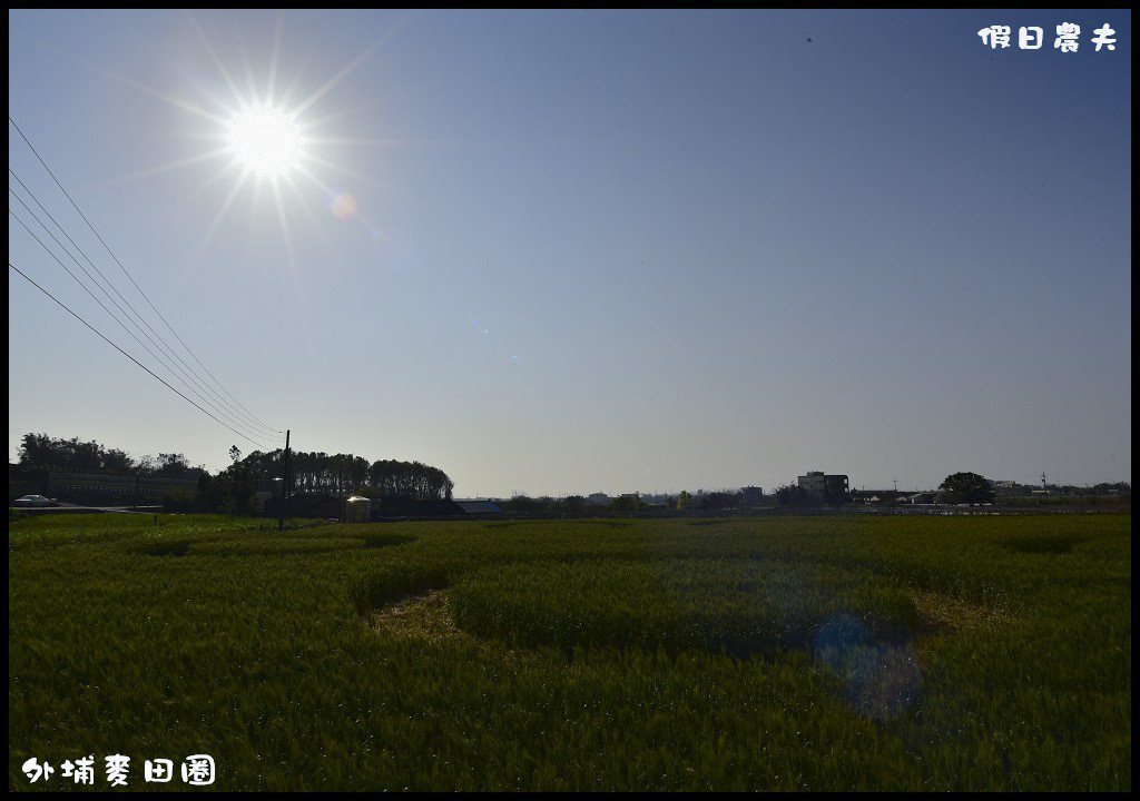 【台中旅遊】外埔麥田圈．外星人飛碟降落小麥田/彩繪外星人/農夫市集/音樂餐會/免費景點/一日遊 @假日農夫愛趴趴照