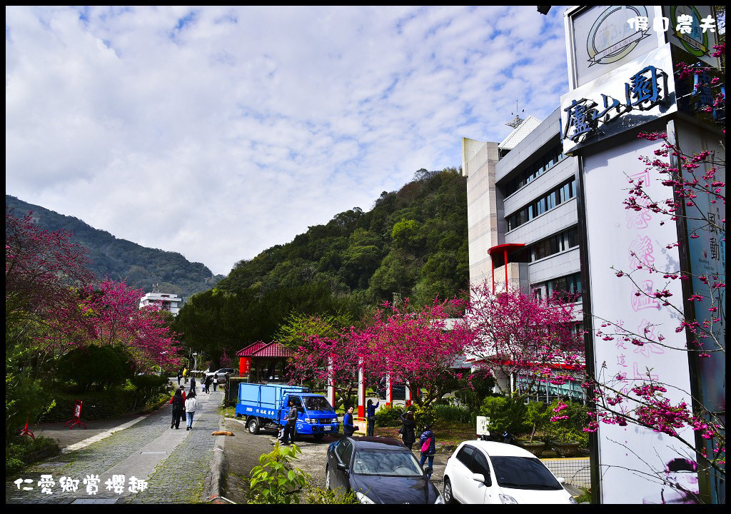 【南投旅遊】仁愛櫻木花道賞櫻趣．全台灣最美麗的道路埔霧公路/免費景點/一日遊/櫻花瀑布 @假日農夫愛趴趴照