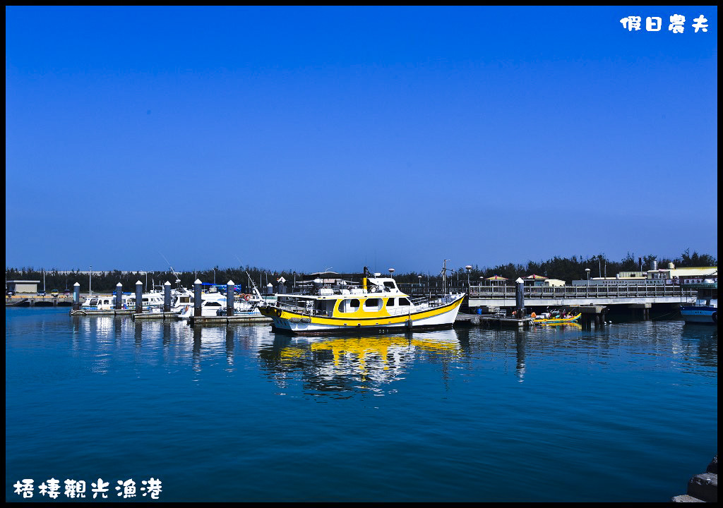 【台中旅遊】來梧棲觀光漁港吃海鮮、買魚貨、看漁船、賞夕陽之外還可以賞燕鷗/一日遊/免費景點/季節限定 @假日農夫愛趴趴照