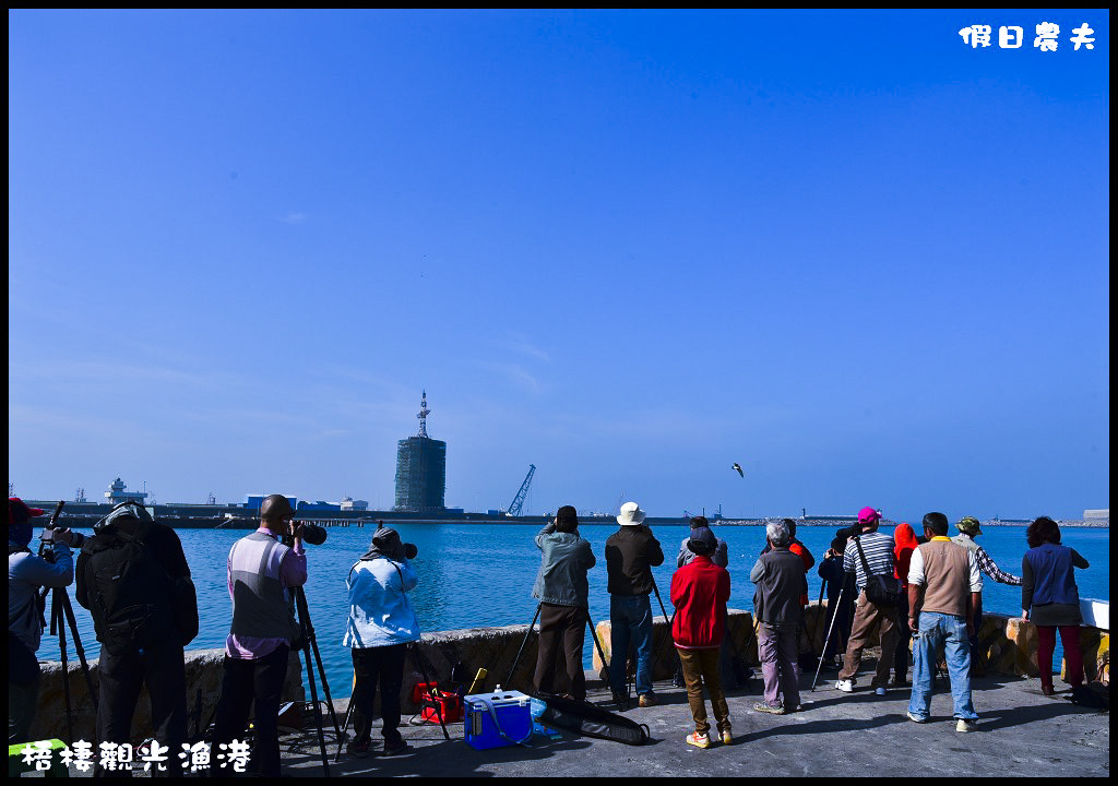 【台中旅遊】來梧棲觀光漁港吃海鮮、買魚貨、看漁船、賞夕陽之外還可以賞燕鷗/一日遊/免費景點/季節限定 @假日農夫愛趴趴照