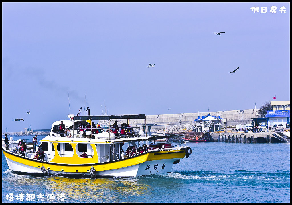 【台中旅遊】來梧棲觀光漁港吃海鮮、買魚貨、看漁船、賞夕陽之外還可以賞燕鷗/一日遊/免費景點/季節限定 @假日農夫愛趴趴照