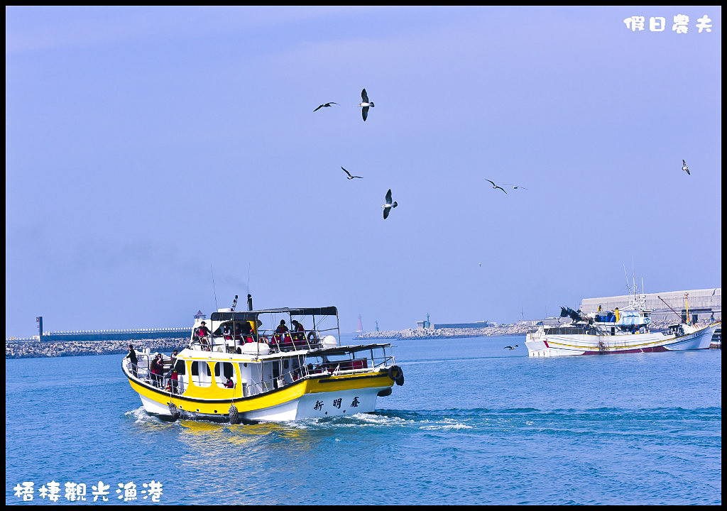 【台中旅遊】來梧棲觀光漁港吃海鮮、買魚貨、看漁船、賞夕陽之外還可以賞燕鷗/一日遊/免費景點/季節限定 @假日農夫愛趴趴照