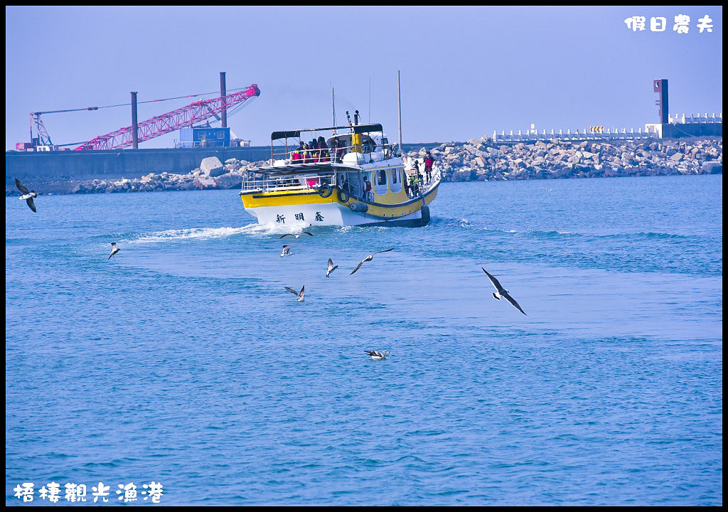 【台中旅遊】來梧棲觀光漁港吃海鮮、買魚貨、看漁船、賞夕陽之外還可以賞燕鷗/一日遊/免費景點/季節限定 @假日農夫愛趴趴照