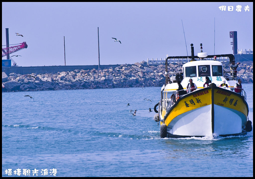 【台中旅遊】來梧棲觀光漁港吃海鮮、買魚貨、看漁船、賞夕陽之外還可以賞燕鷗/一日遊/免費景點/季節限定 @假日農夫愛趴趴照