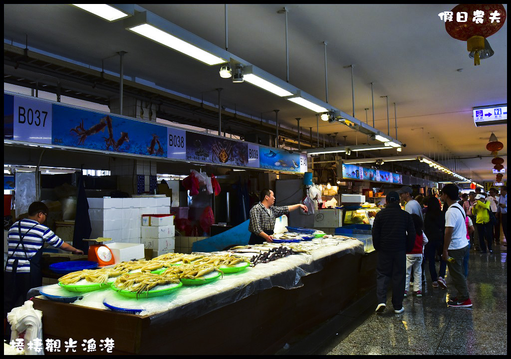 【台中旅遊】來梧棲觀光漁港吃海鮮、買魚貨、看漁船、賞夕陽之外還可以賞燕鷗/一日遊/免費景點/季節限定 @假日農夫愛趴趴照