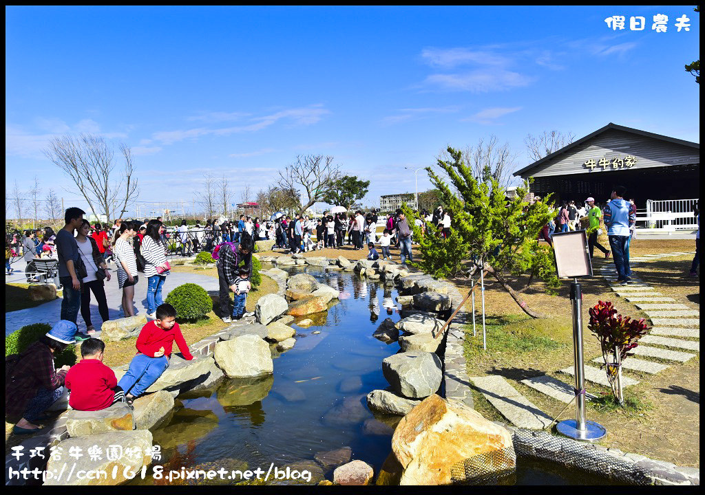 雲林旅遊|崙背千巧谷牛樂園牧場．免門票餵牛吃草/親子沙坑/觀光牧場 @假日農夫愛趴趴照