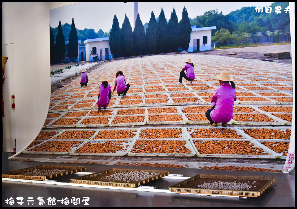 【嘉義旅遊】梅子元氣館-梅問屋觀光工廠．賞梅吃梅認識梅子好去處/免費參觀/免門票/DIY/好停車 @假日農夫愛趴趴照