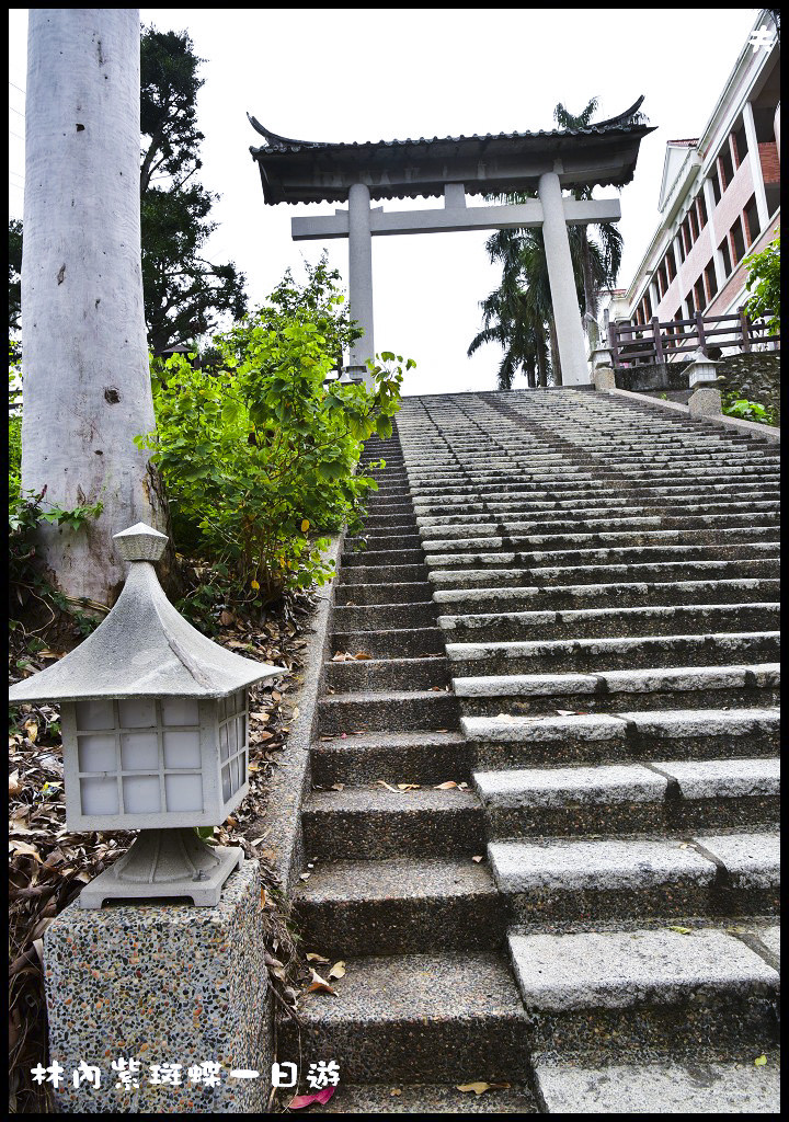 林內紫斑蝶一日輕旅行．雲林農田水利會觸口工作站賞蝶點+成功國小+林內公園 @假日農夫愛趴趴照