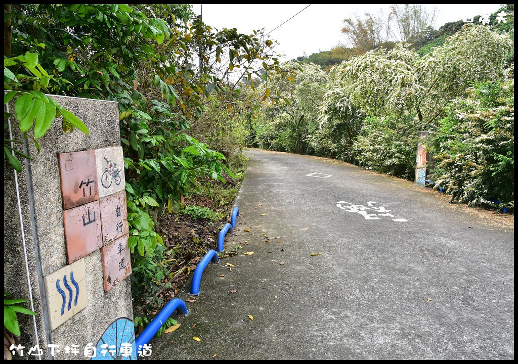 【南投旅遊】竹山下坪自行車道．季節限定垂枝女貞盛開似花瀑布/免費景點/一日遊 @假日農夫愛趴趴照