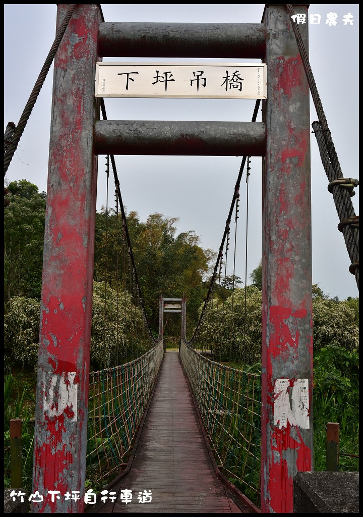 【南投旅遊】竹山下坪自行車道．季節限定垂枝女貞盛開似花瀑布/免費景點/一日遊 @假日農夫愛趴趴照