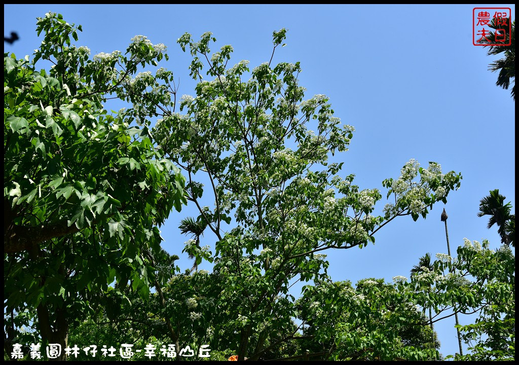 【嘉義旅遊】圓林仔社區幸福山丘Happy Hill．油桐花季開始了/文化創意市集/一日遊/免費景點 @假日農夫愛趴趴照