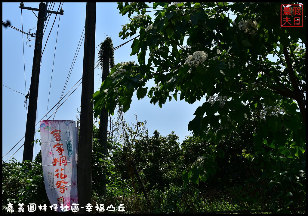 【嘉義旅遊】圓林仔社區幸福山丘Happy Hill．油桐花季開始了/文化創意市集/一日遊/免費景點 @假日農夫愛趴趴照