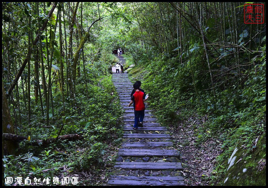 螢火蟲|中部及嘉義地區賞螢景點懶人包/鹿谷三生緣區/鳳凰谷鳥園/頭社水庫/內有拍攝技巧 @假日農夫愛趴趴照