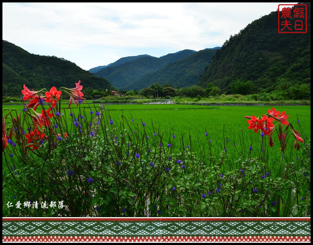 【南投旅遊】仁愛鄉清流部落．霧社事件餘生紀念館/川中島/川中米/免費景點/一日遊 @假日農夫愛趴趴照