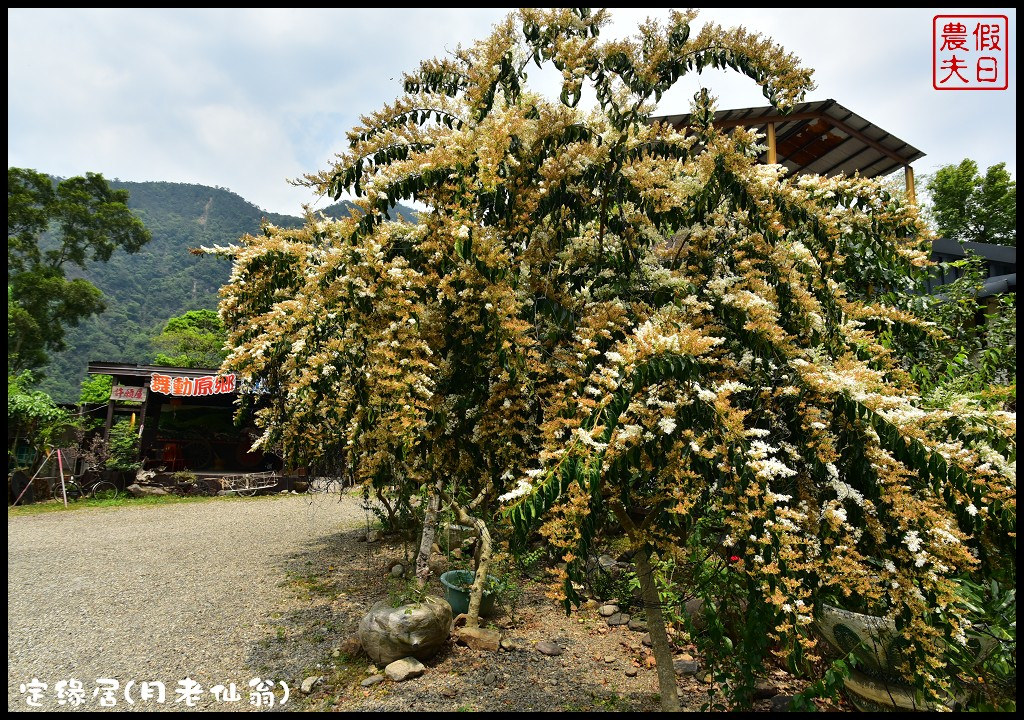 【南投旅遊美食】仁愛定緣居月老仙翁．吃美食還能求姻緣/咖啡/蔬食/無菜單/民宿 @假日農夫愛趴趴照