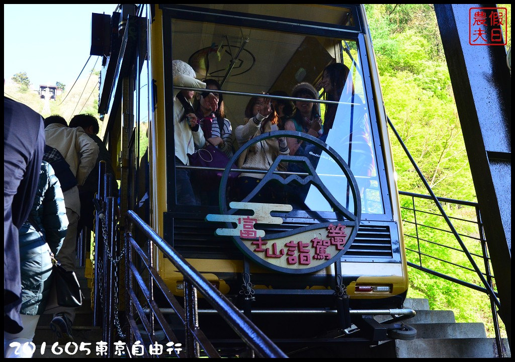 【日本旅遊】東京自由行．行程規劃/芝櫻/紫藤/粉蝶花/杜鵑/鬱金香/自助旅遊/交通規劃/住宿/JR/東京廣域周遊券 @假日農夫愛趴趴照