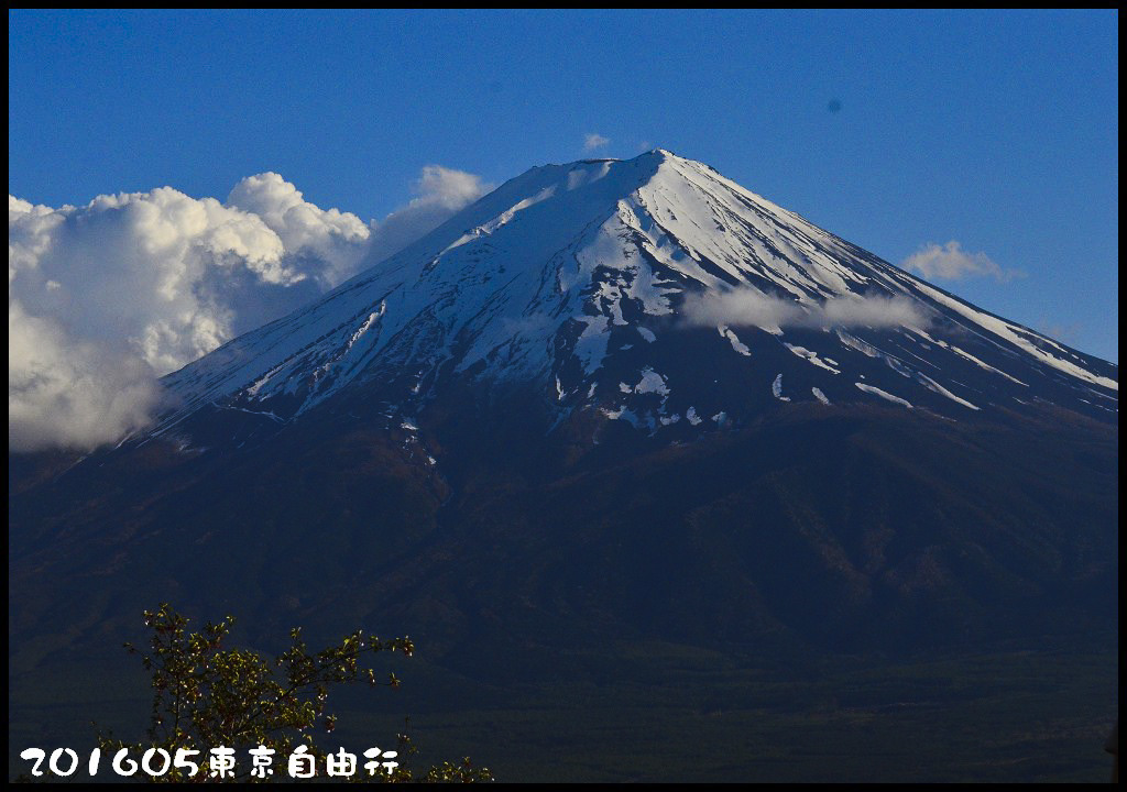 【日本旅遊】東京自由行．行程規劃/芝櫻/紫藤/粉蝶花/杜鵑/鬱金香/自助旅遊/交通規劃/住宿/JR/東京廣域周遊券 @假日農夫愛趴趴照