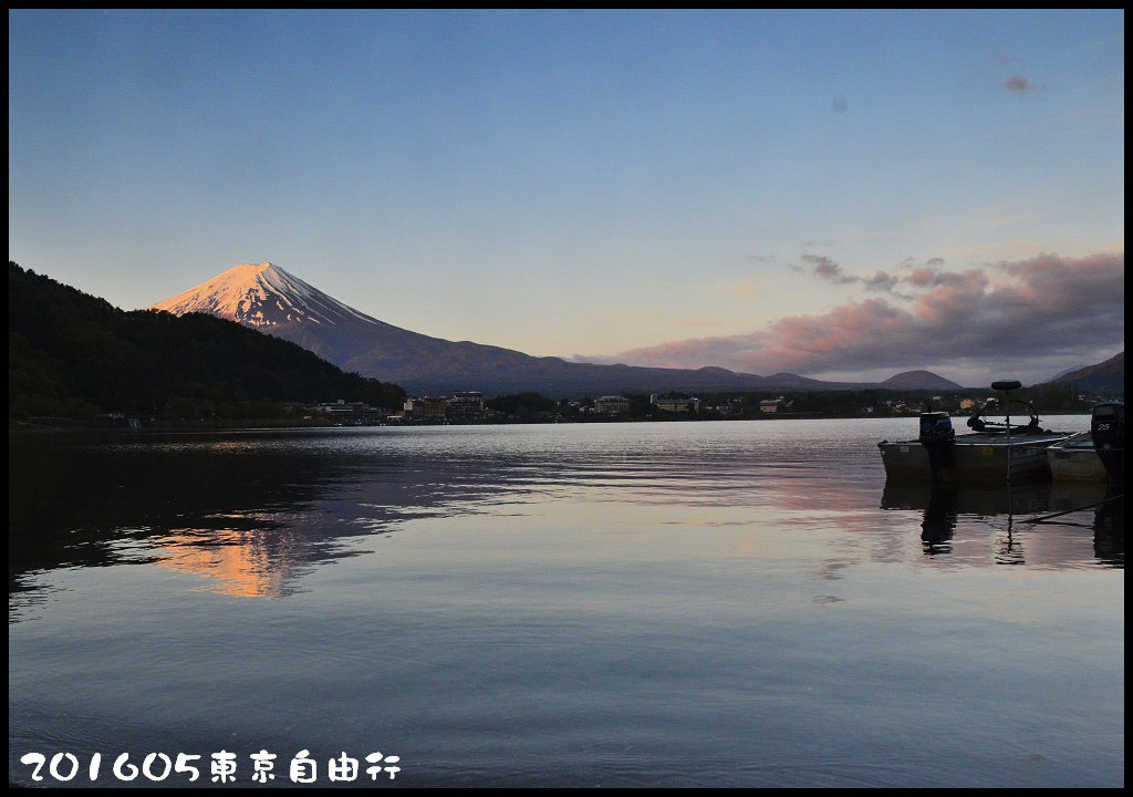 【日本旅遊】東京自由行．行程規劃/芝櫻/紫藤/粉蝶花/杜鵑/鬱金香/自助旅遊/交通規劃/住宿/JR/東京廣域周遊券 @假日農夫愛趴趴照