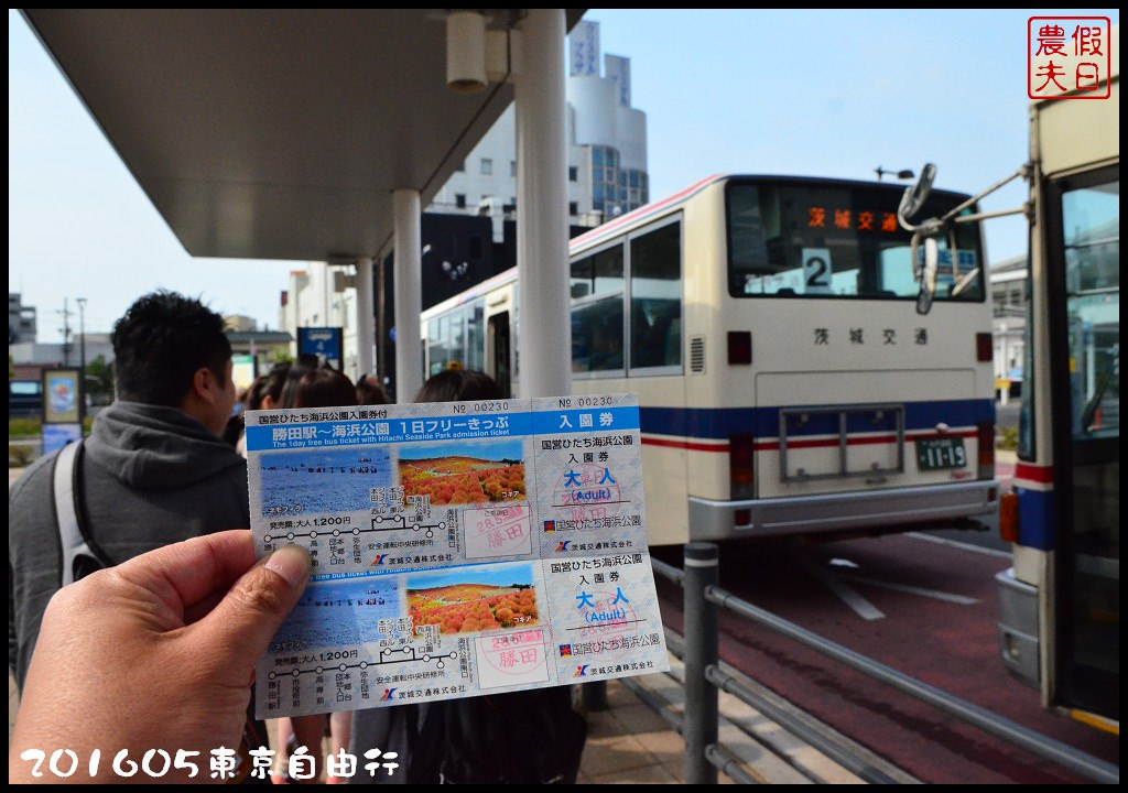 【日本旅遊】東京自由行．行程規劃/芝櫻/紫藤/粉蝶花/杜鵑/鬱金香/自助旅遊/交通規劃/住宿/JR/東京廣域周遊券 @假日農夫愛趴趴照