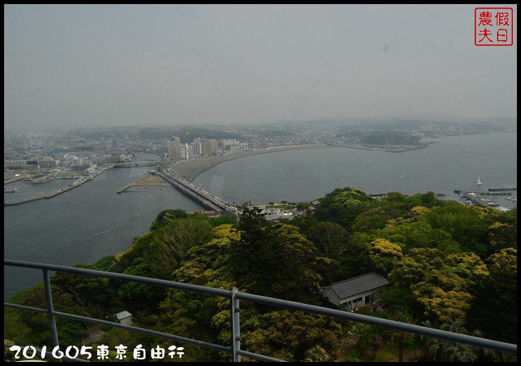 【日本旅遊】東京自由行．行程規劃/芝櫻/紫藤/粉蝶花/杜鵑/鬱金香/自助旅遊/交通規劃/住宿/JR/東京廣域周遊券 @假日農夫愛趴趴照