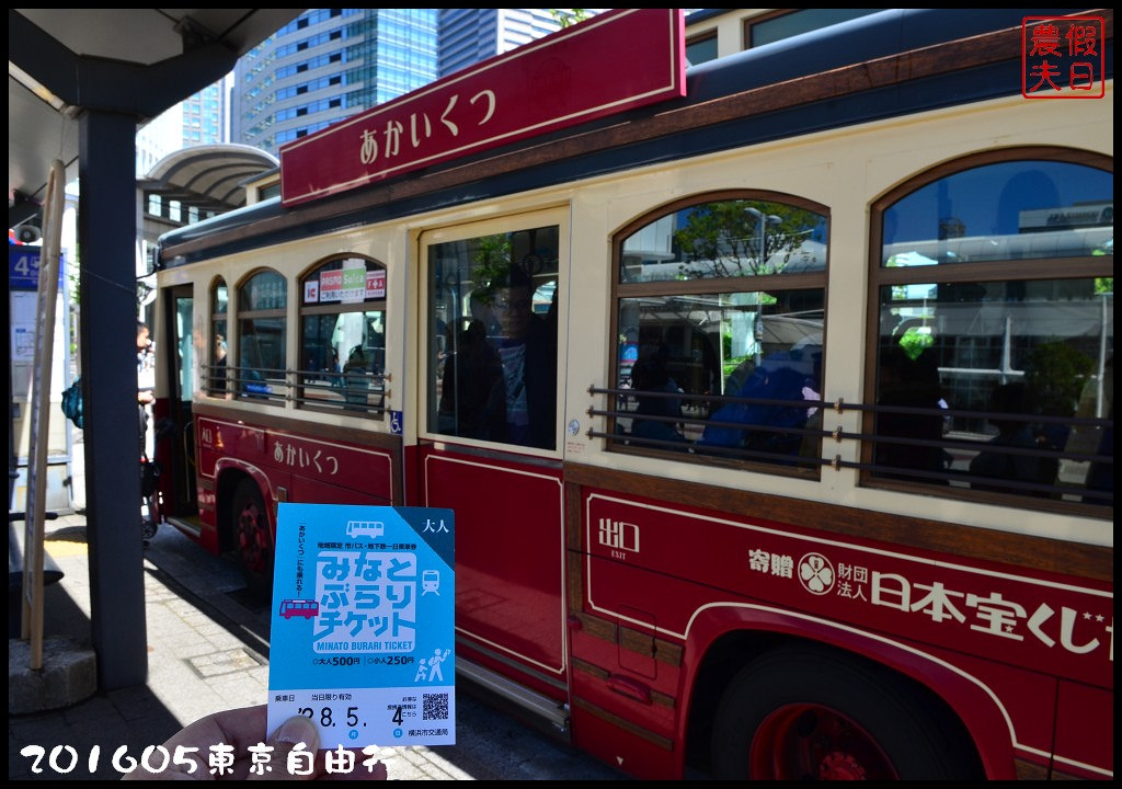 【日本旅遊】東京自由行．行程規劃/芝櫻/紫藤/粉蝶花/杜鵑/鬱金香/自助旅遊/交通規劃/住宿/JR/東京廣域周遊券 @假日農夫愛趴趴照