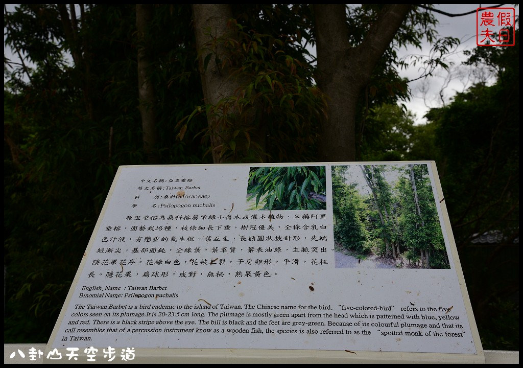 【彰化旅遊景點】八卦山天空步道．全台灣最長天空步道/免費參觀/生態旅遊/一日遊/藝術高中/大佛/生活美學館 @假日農夫愛趴趴照