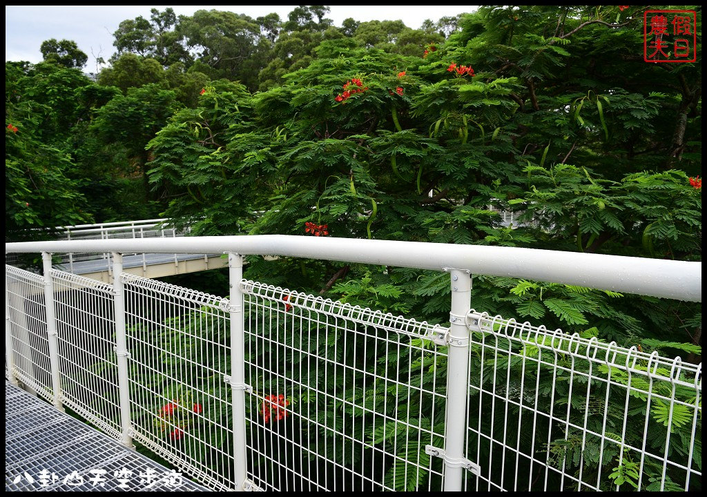 【彰化旅遊景點】八卦山天空步道．全台灣最長天空步道/免費參觀/生態旅遊/一日遊/藝術高中/大佛/生活美學館 @假日農夫愛趴趴照