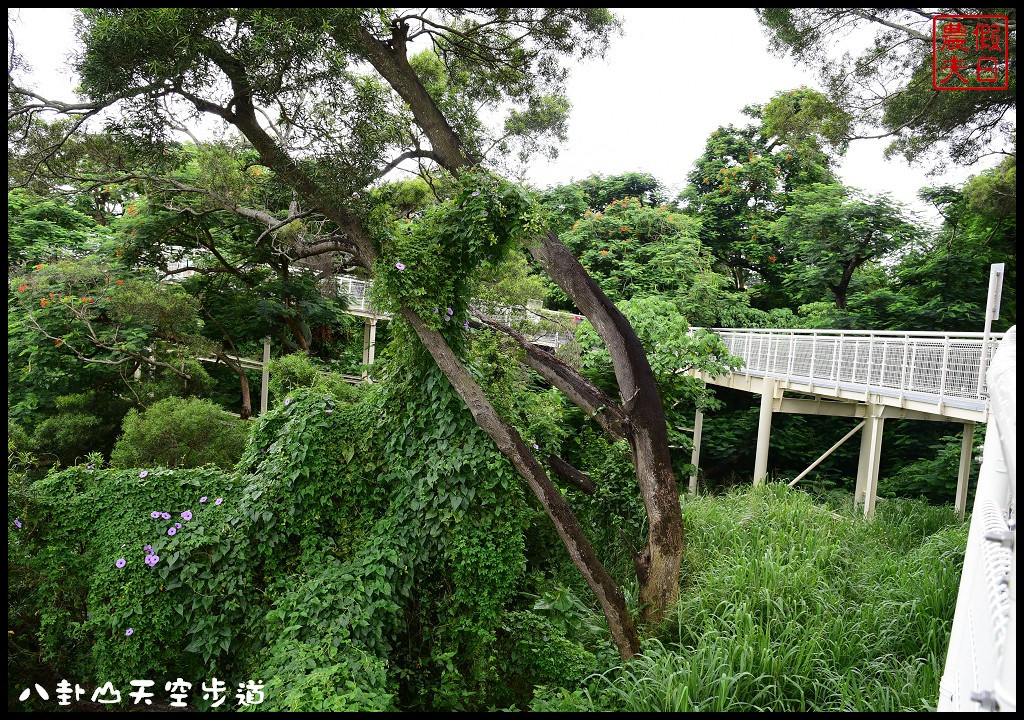 【彰化旅遊景點】八卦山天空步道．全台灣最長天空步道/免費參觀/生態旅遊/一日遊/藝術高中/大佛/生活美學館 @假日農夫愛趴趴照