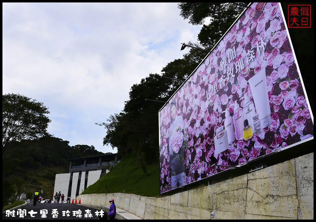 【苗栗旅遊】雅聞七里香玫瑰森林．苗栗觀光的新亮點/觀光工廠 @假日農夫愛趴趴照