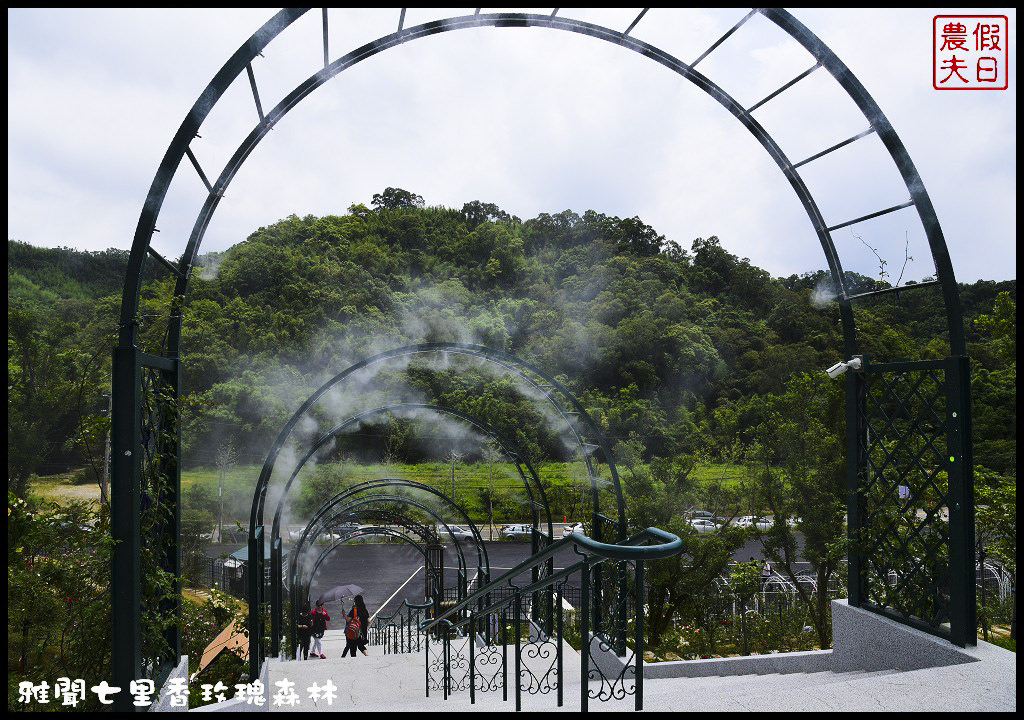 【苗栗旅遊】雅聞七里香玫瑰森林．苗栗觀光的新亮點/觀光工廠 @假日農夫愛趴趴照