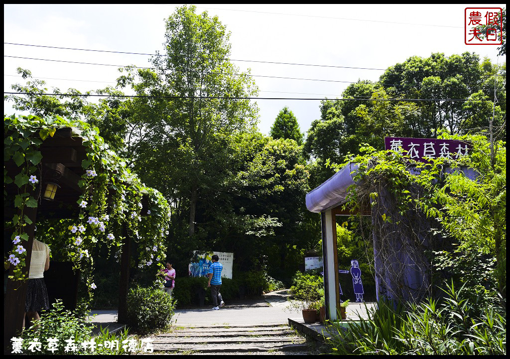 【苗栗旅遊】薰衣草森林明德店．漫遊在充滿綠意的園區裡/森林咖啡館/許願小徑/環湖步道/明德水庫 @假日農夫愛趴趴照