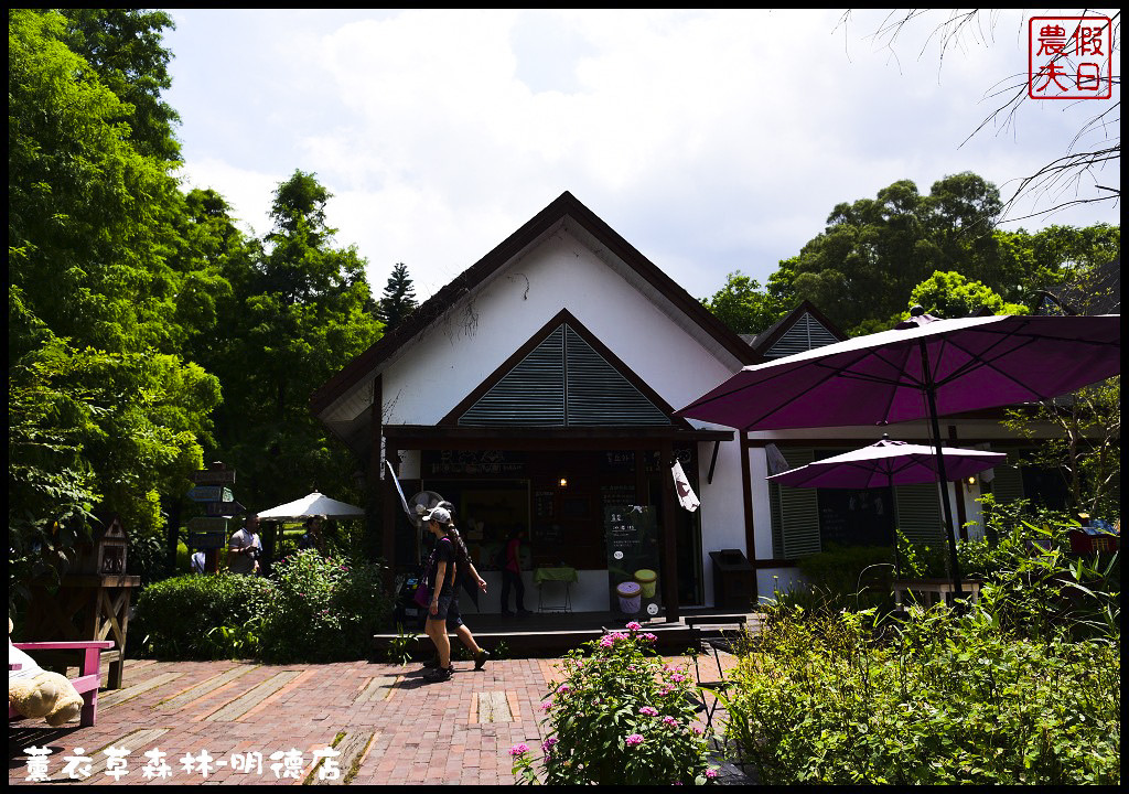 【苗栗旅遊】薰衣草森林明德店．漫遊在充滿綠意的園區裡/森林咖啡館/許願小徑/環湖步道/明德水庫 @假日農夫愛趴趴照